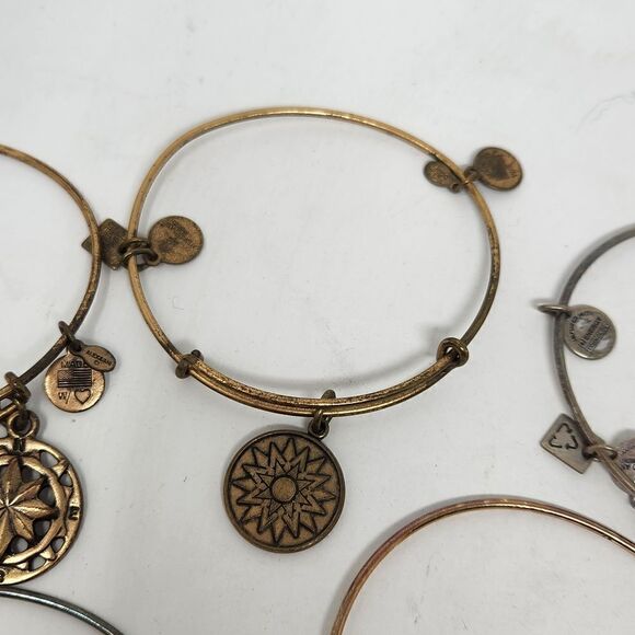 ALEX and ANI Bangle Bracelet Lot #1 Wear Compass, Larkspur, Hockey, Flying Shoe - Picture 4 of 6